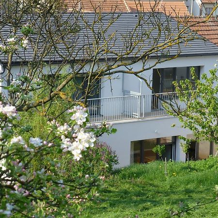 Pod Kralicim Vrchem Apartment Milovice  Luaran gambar