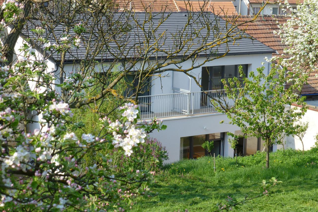 Pod Kralicim Vrchem Apartment Milovice  Luaran gambar